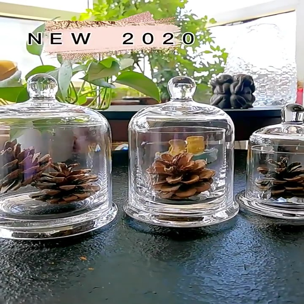 وعاء زجاجي للتخزين، زهرة الحيا - مراجعة Food Storage Of Plants وسعره